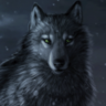 DarkWolf